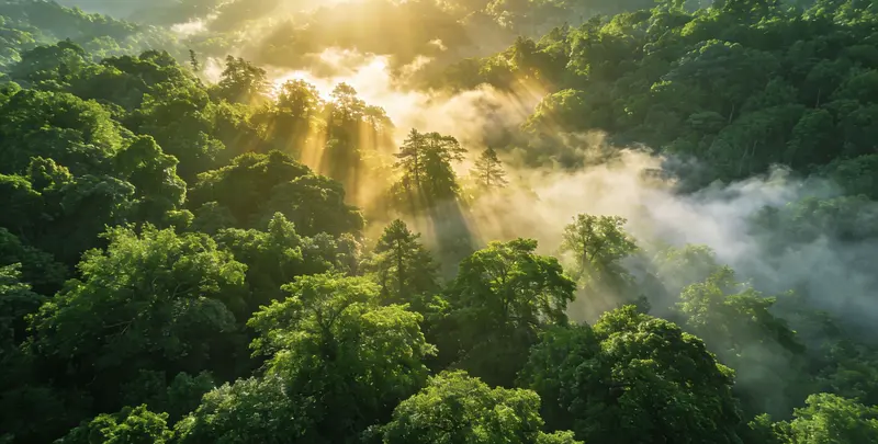 江门肺癌（EGFR T790M)突变检测图片1